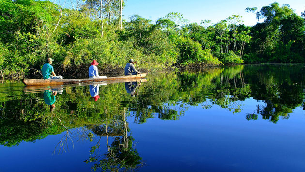 El bosque espejo del río Amazonas
