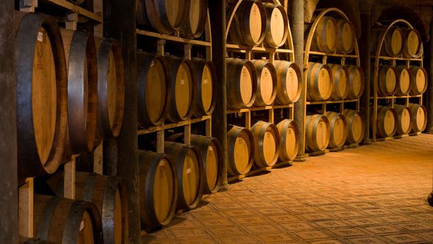 Guanajuato es el cuarto productor de vino a nivel nacional con 34 viñedos registrados y una producción anual de 700 mil botellas.