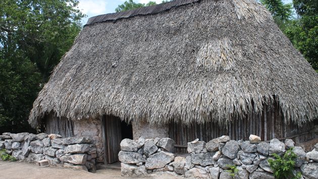 Yucatán cuenta con diversas opciones para practicar ecoturismo comunitario.