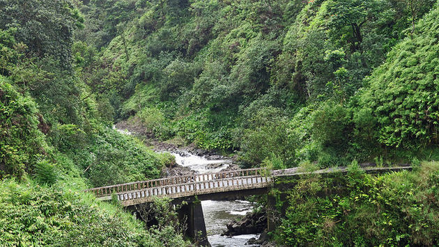 A part of the magnificent Road to Hana, Maui