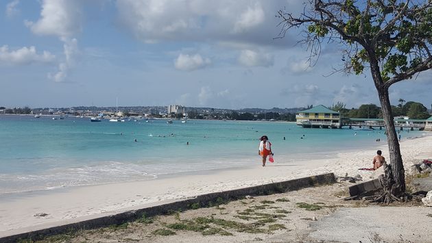 Pebbles Beach in Barbados