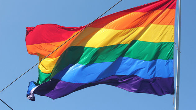 Pride flag, LGBT