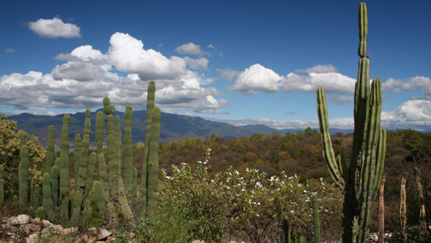 View of the countryside in Oaxaca, Mexico