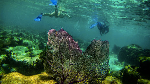 Snorkeling on the reefs of Belize is one of the most recommended activities for visitors. (Photo via GAdventures).