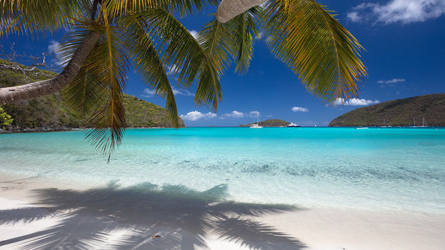 Maho Bay Beach, U.S. Virgin Islands
