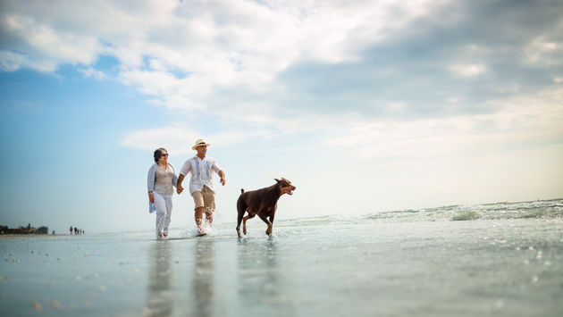 A couple and their dog at the beach