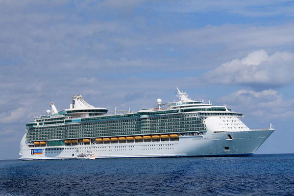 Cruise Lines & Cruise Ships