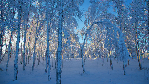 Kiruna, Sweden landscape covered in snow
