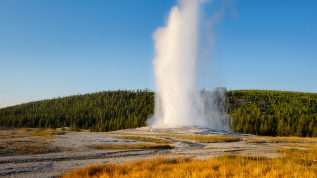 Old Faithful geyser at Wyoming's Yellowstone National Park