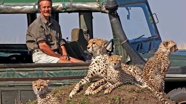 Big cats during a Kenya Safari