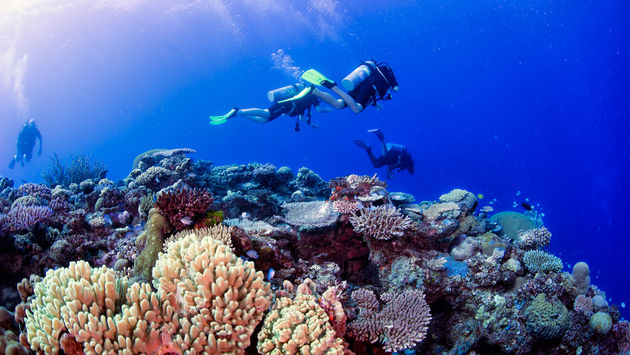 Scuba diving in Fiji.