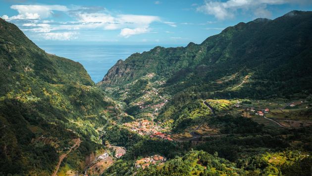 Aerial view of Madeira's lush vegetation