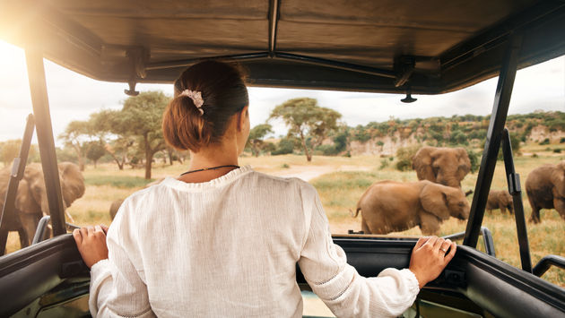 East Africa safari