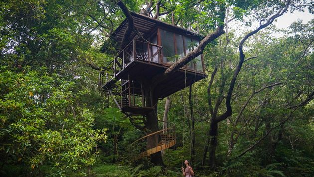 Japan, sustainable accommodations in Japan, Okinawa, treehouse