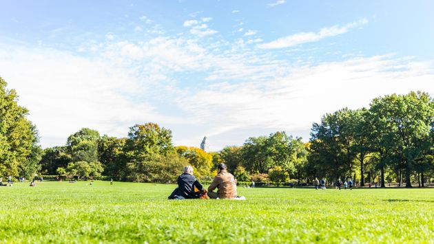 A couple having a picnic in New York City's Central Park