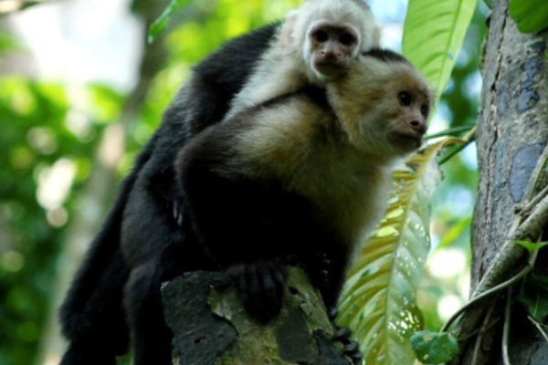 5 lugares imperdibles en Costa Rica