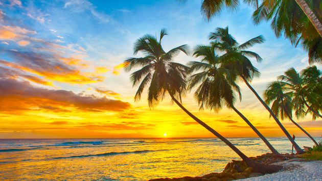 How To Vacation Like A Celebrity In Barbados Travelpulse