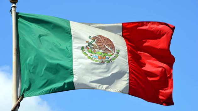 The Mexican national flag.