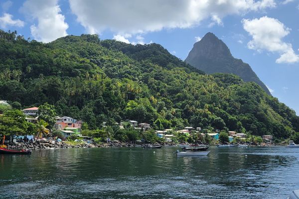 Saint Lucia Launches 'Seamless' Entry Protocol Updates