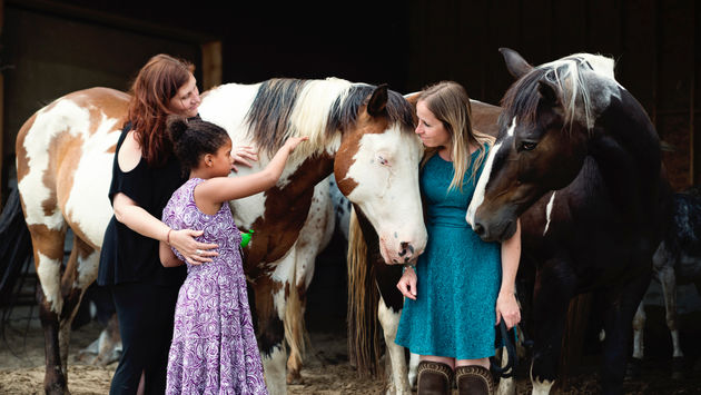 Equino, ecuestre, caballos, rancho, terapia, animal, asistido, autismo, necesidades especiales, interacción