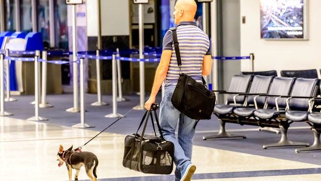 Man walking his dog in an airport