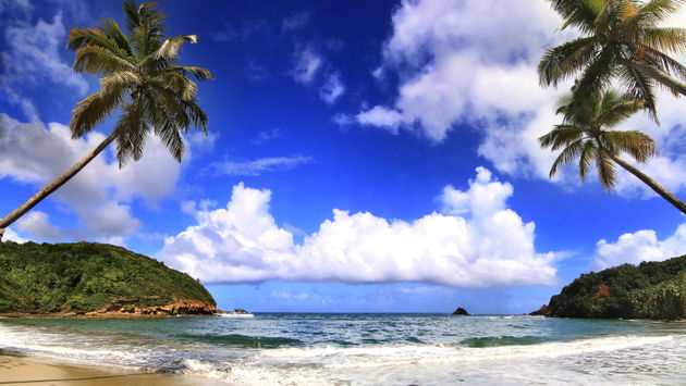 Beautiful beach in Dominica (photo via gydyt0jas / iStock / Getty Images Plus)