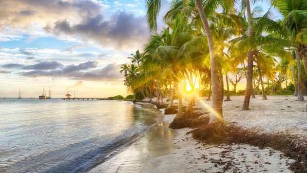 Champagne beach in Saint Francois, Guadeloupe, Caribbean.  (photo via Fyletto/iStock/Getty Images Plus)