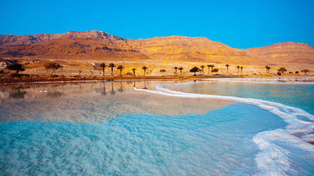 Dead Sea seashore with palm trees and mountains on background (photo via vvvita / iStock / Getty Images Plus)