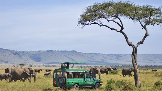 African Safari: Kenya and Tanzania 
